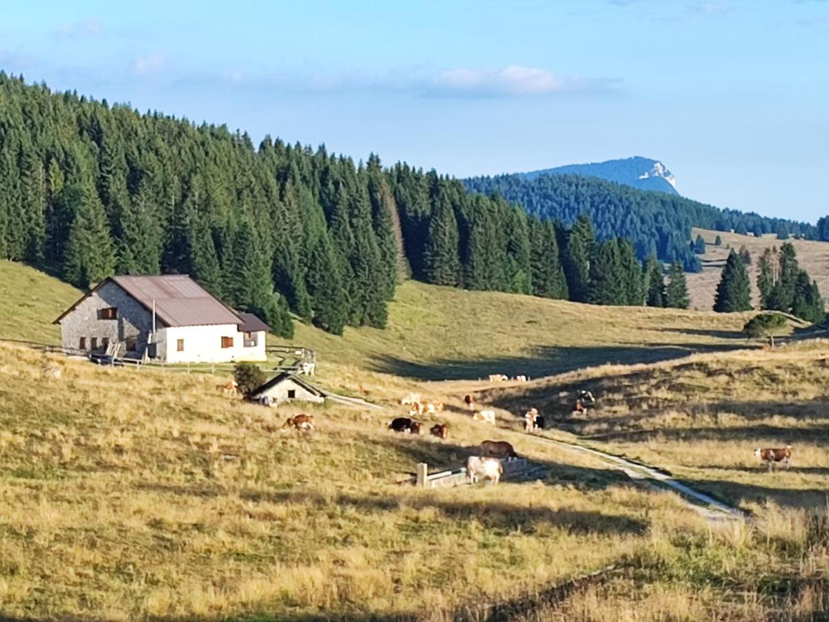 Appartement Il Riccio Del Castagno à Novaledo Extérieur photo